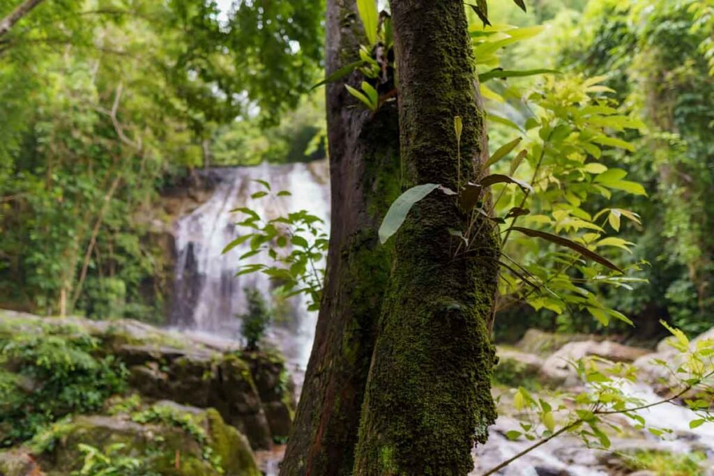 Sai Ku Waterfall